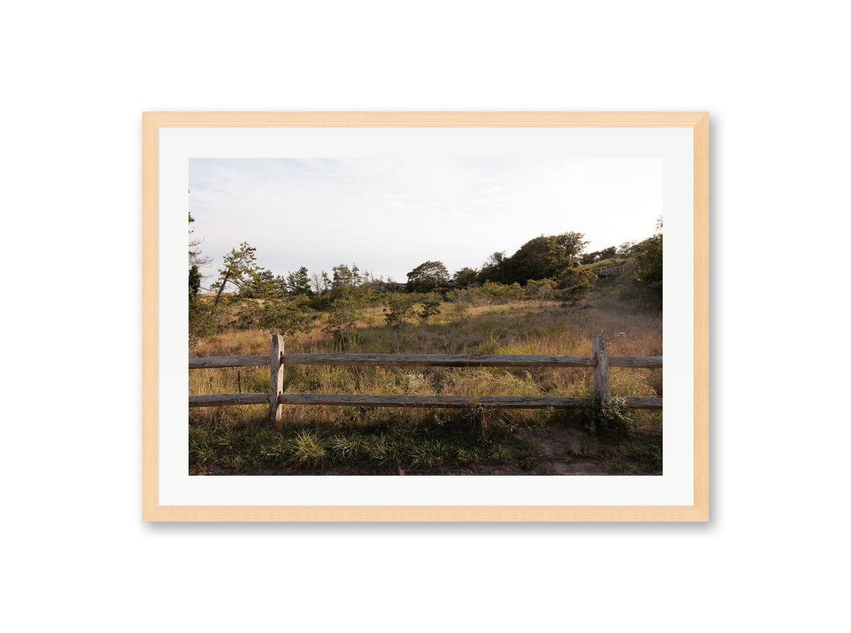 Sconset Meadow