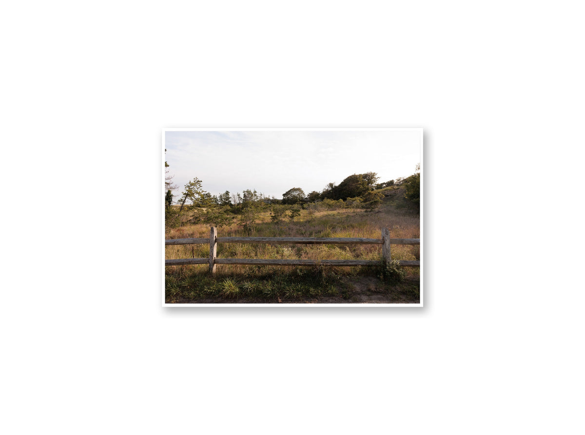 Sconset Meadow