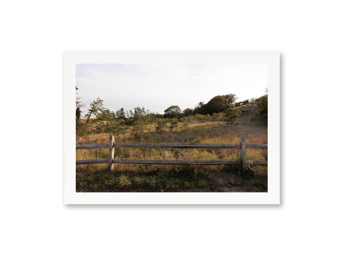 Sconset Meadow