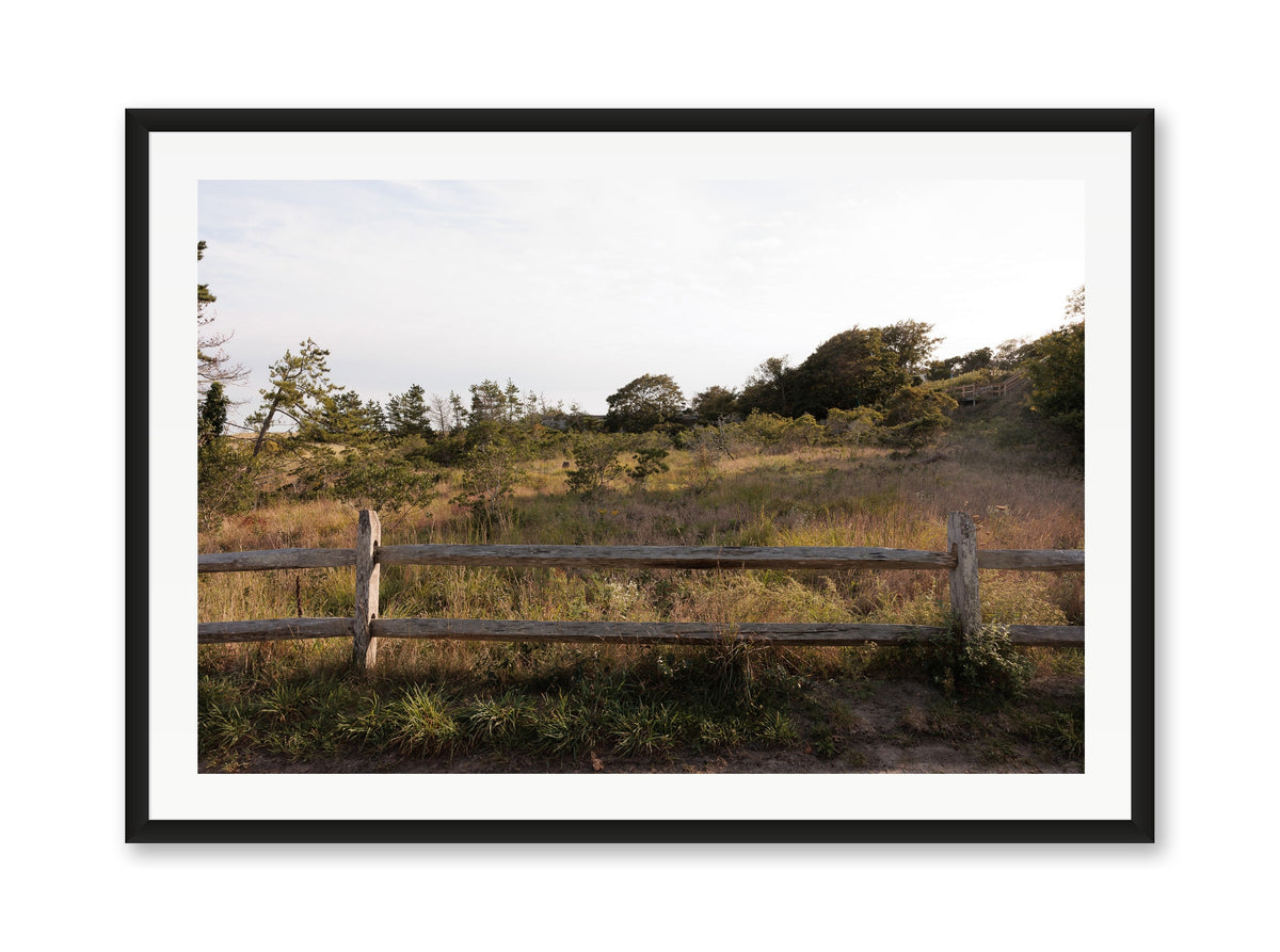 Sconset Meadow