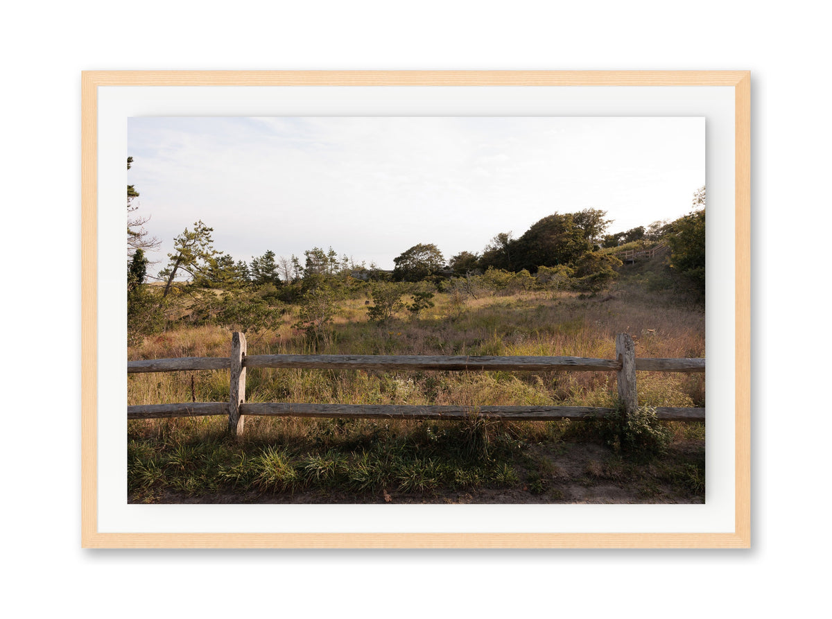 Sconset Meadow