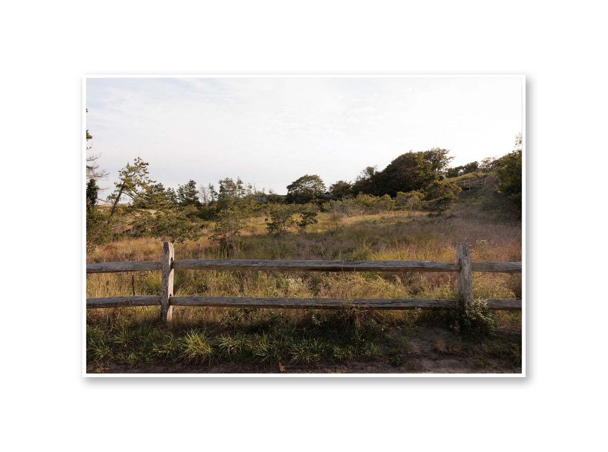 Sconset Meadow