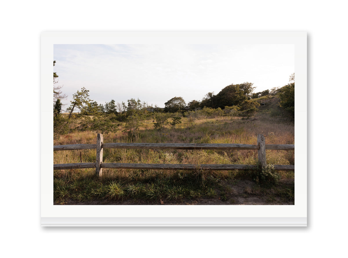 Sconset Meadow