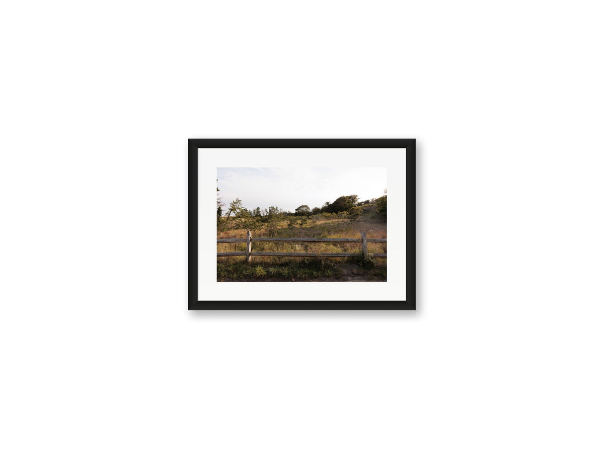 Sconset Meadow
