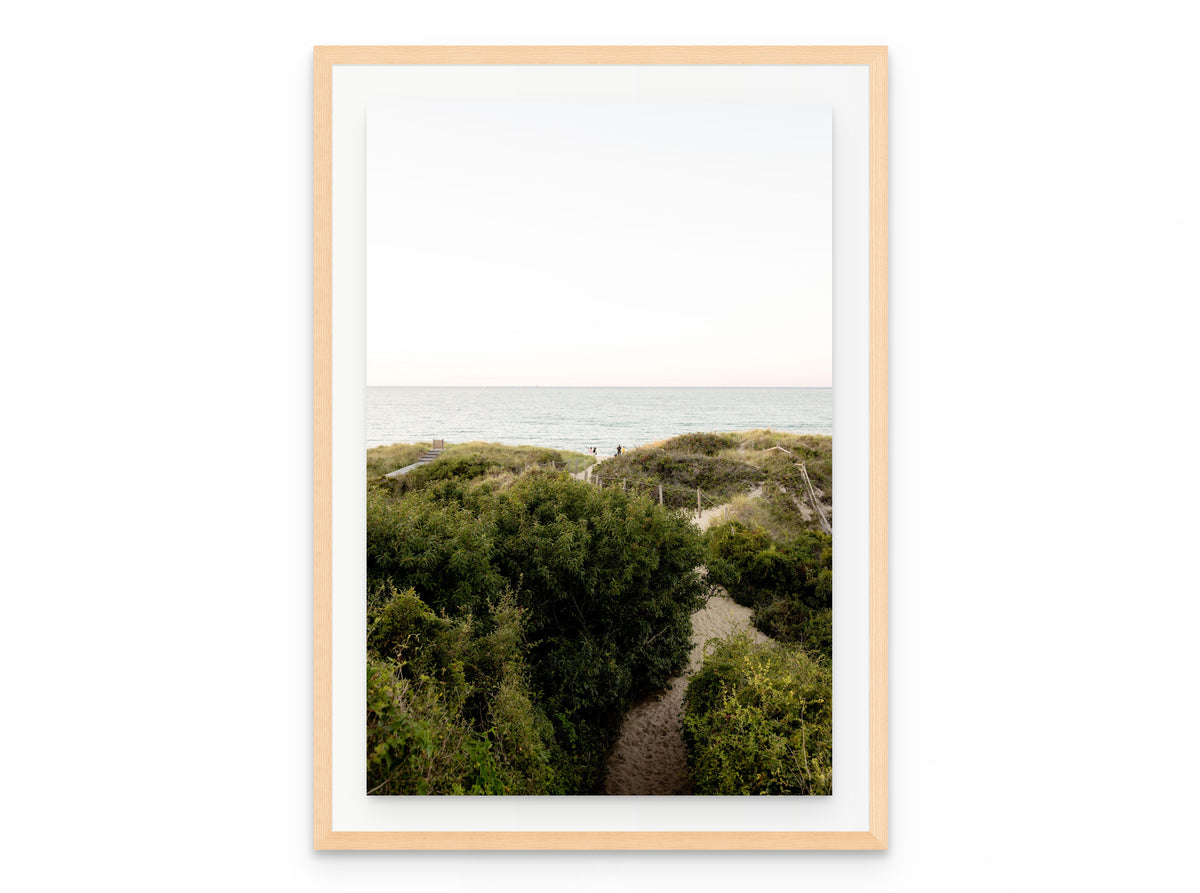 Steps Forward Nantucket