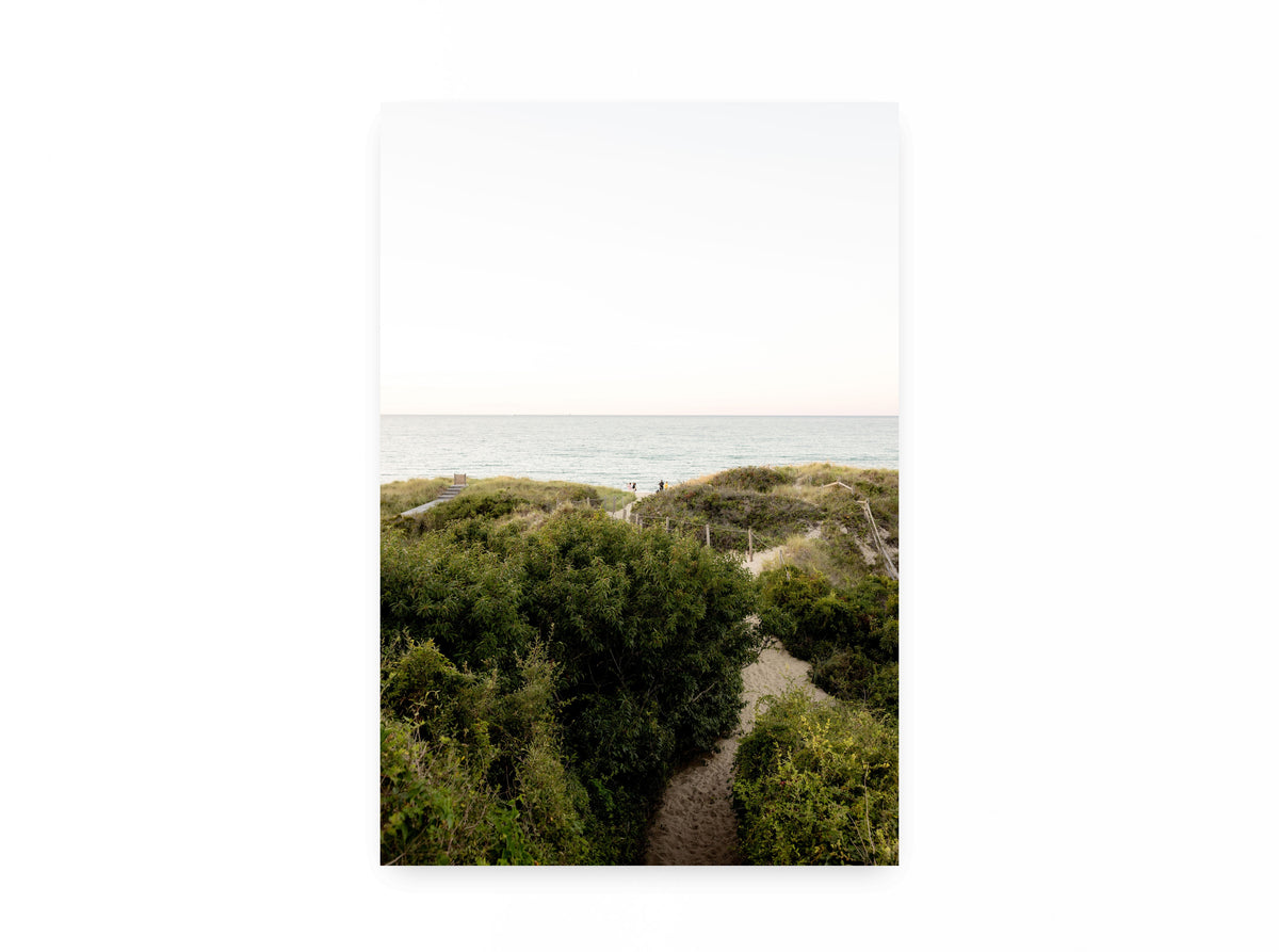 Steps Forward Nantucket