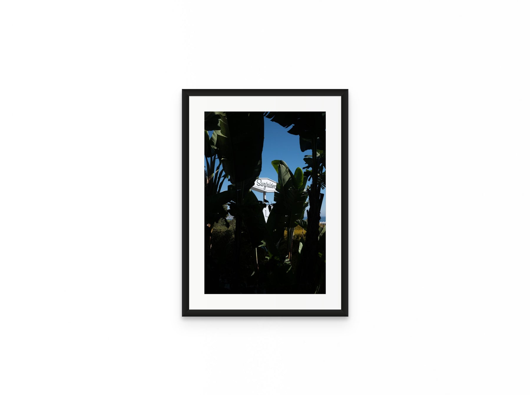 Surfrider Palms, 12×18 in black frame