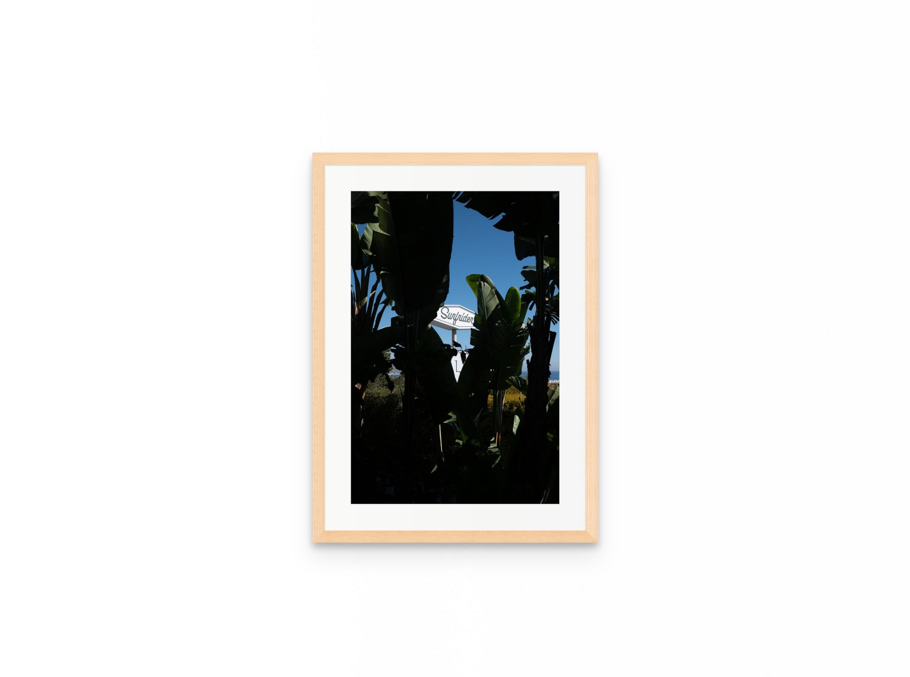 Surfrider Palms, 12×18 in natural frame