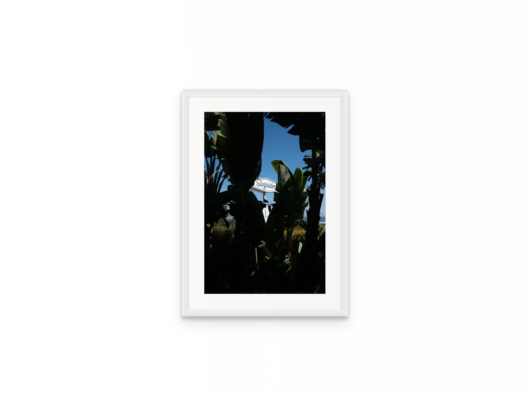 Surfrider Palms, 12×18 in white frame