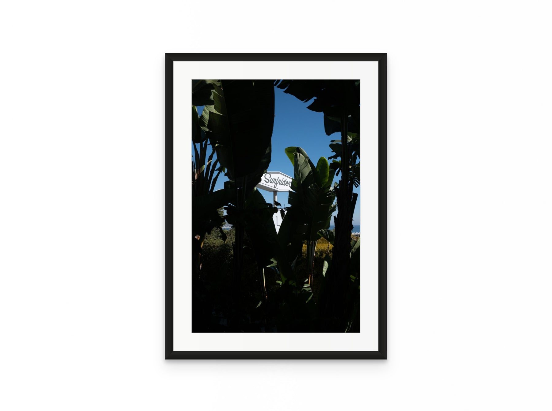 Surfrider Palms, 16×24 in black frame