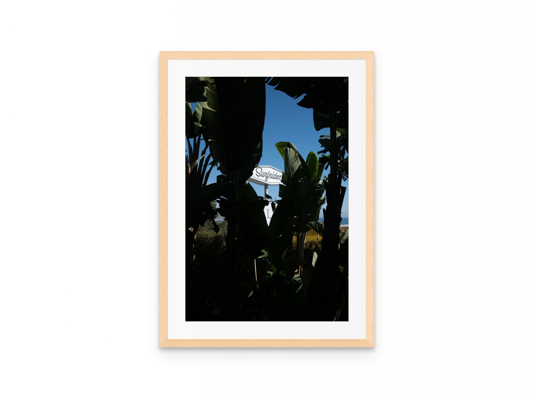 Surfrider Palms, 16×24 in natural frame