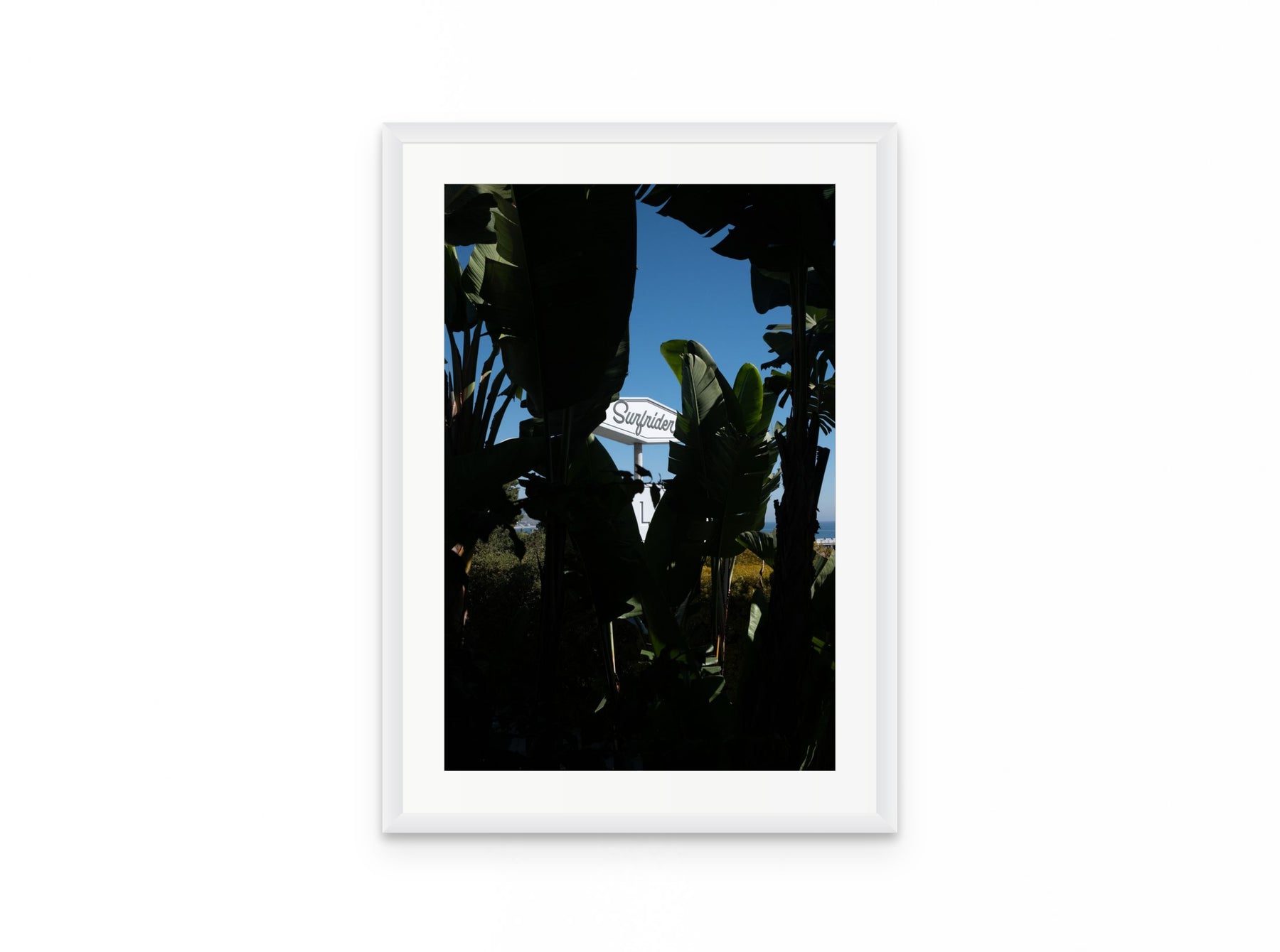 Surfrider Palms, 16×24 in white frame
