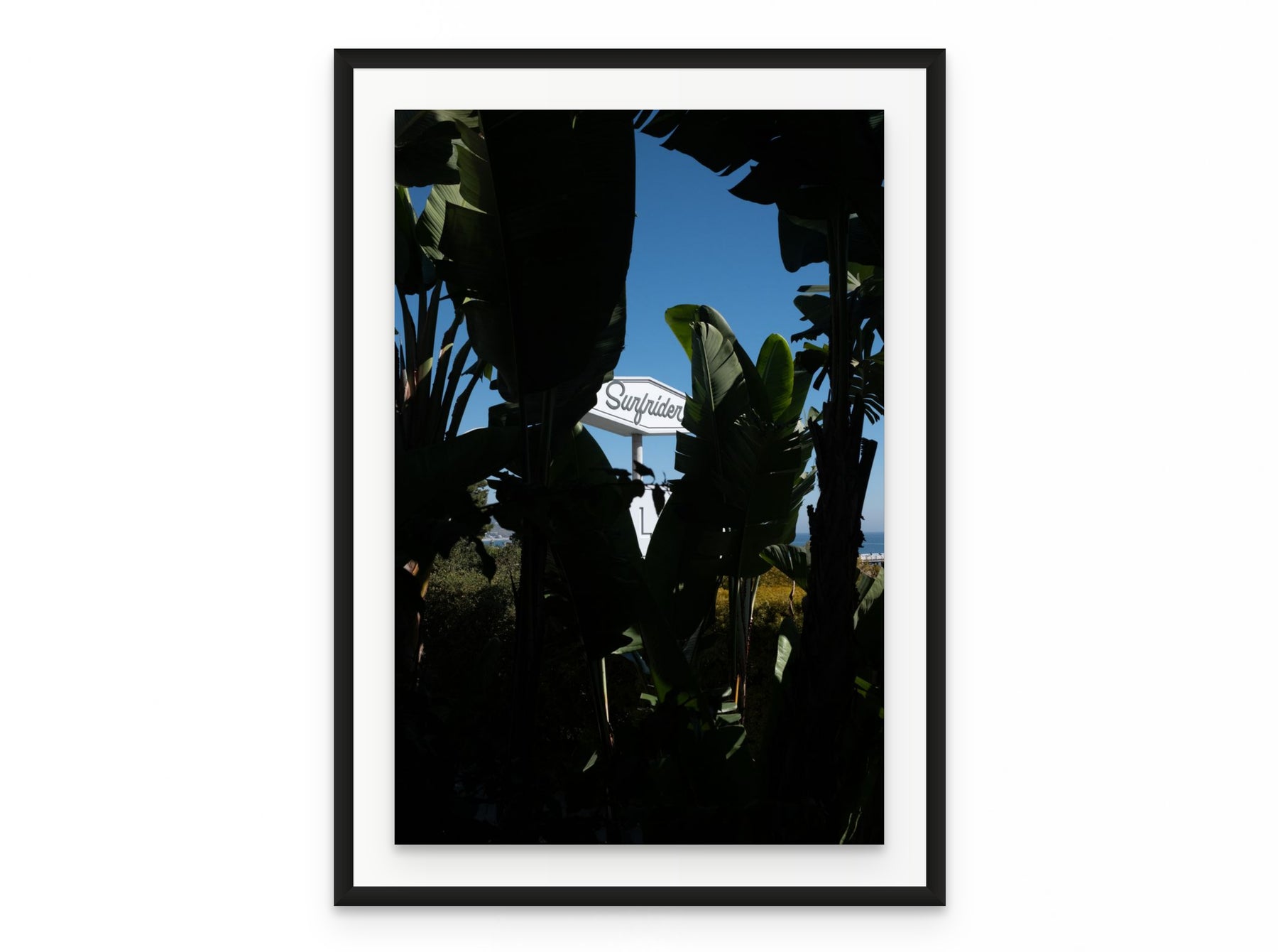 Surfrider Palms, 20×30 in black frame