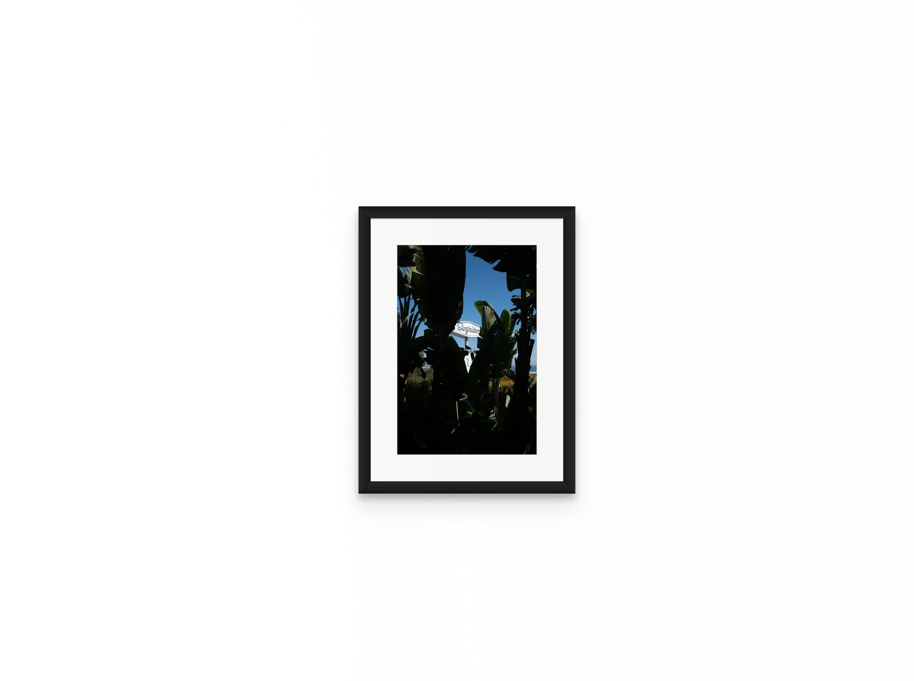 Surfrider Palms, 8×12 in black frame