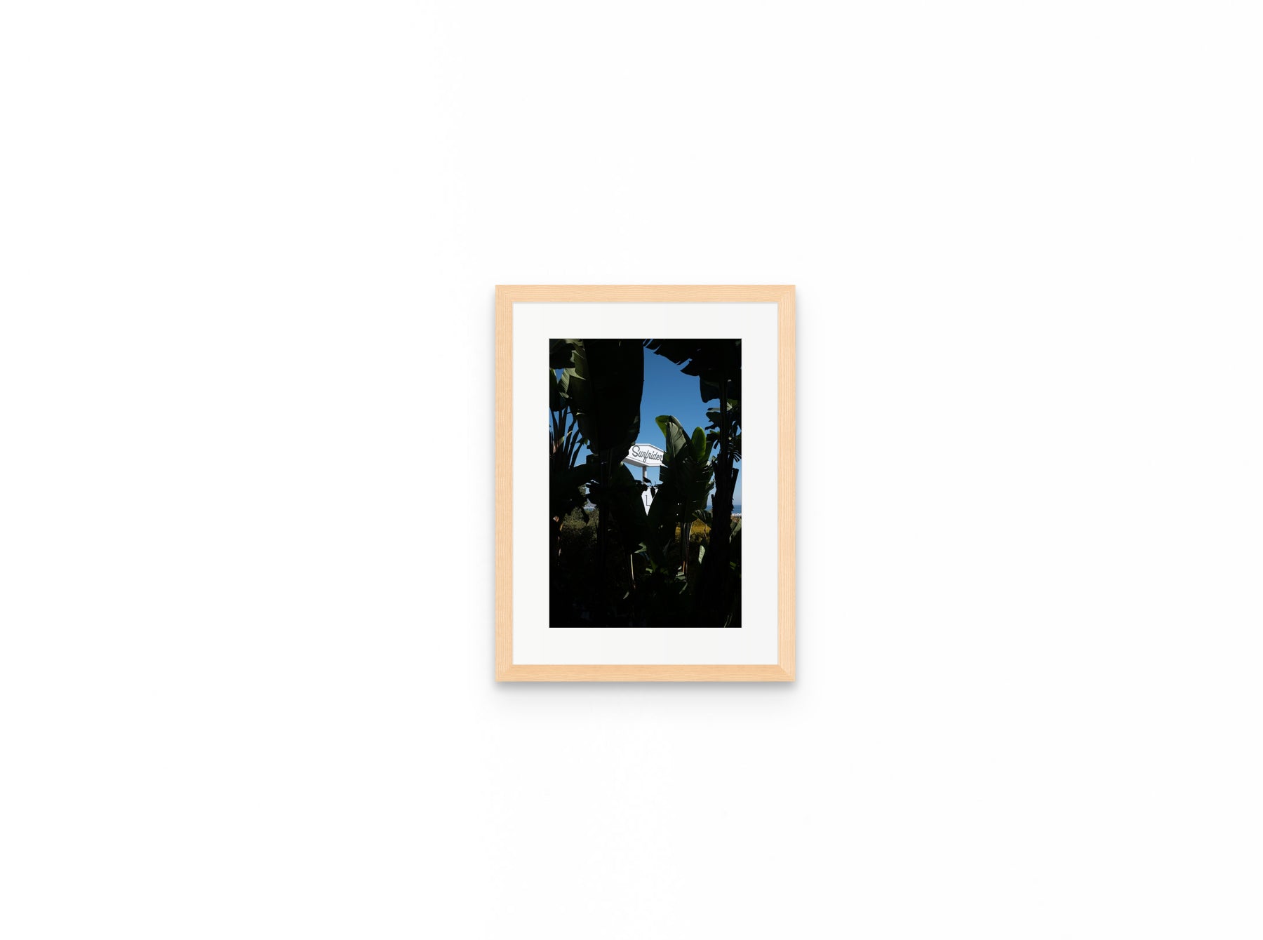 Surfrider Palms, 8×12 in natural frame