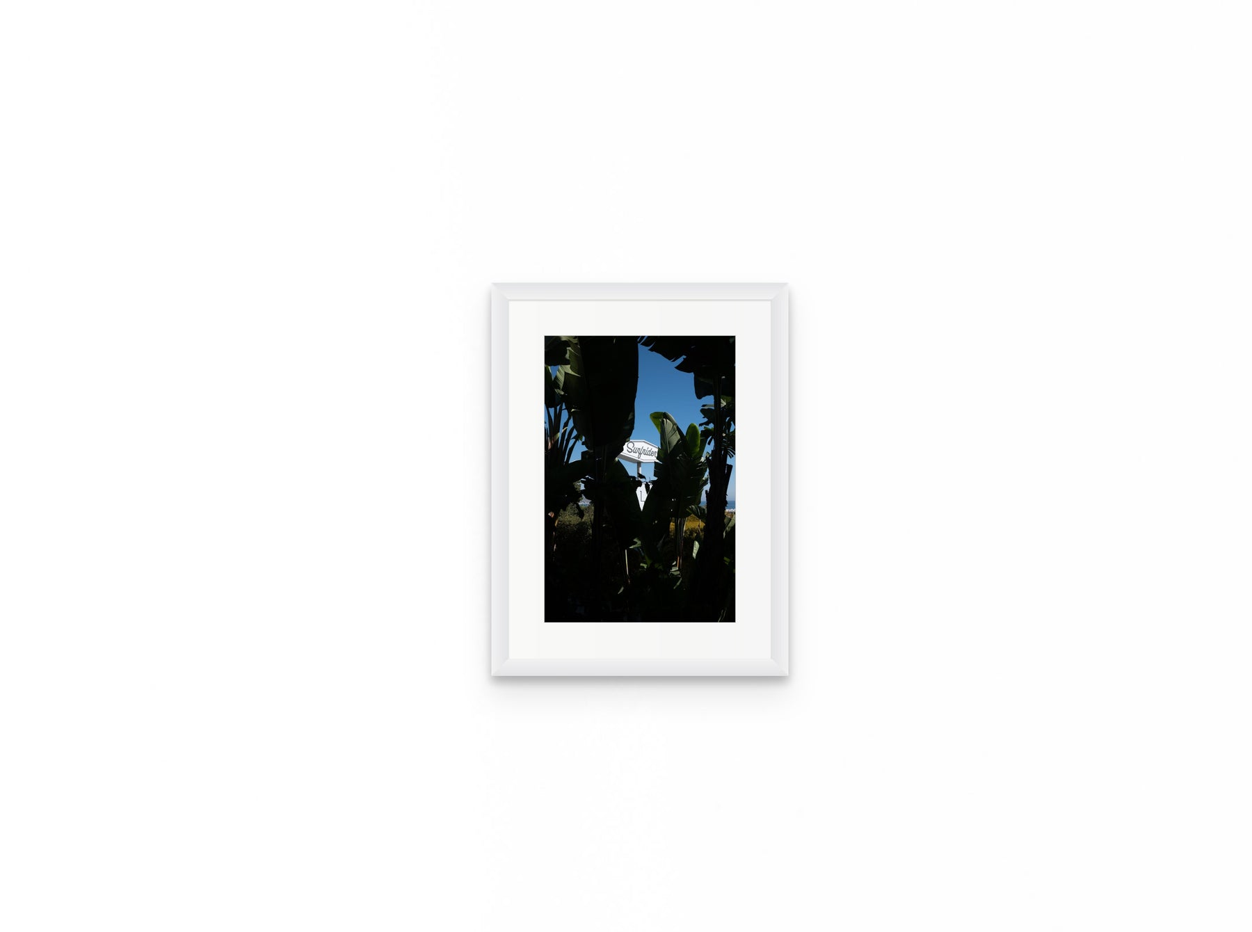 Surfrider Palms, 8×12 in white frame