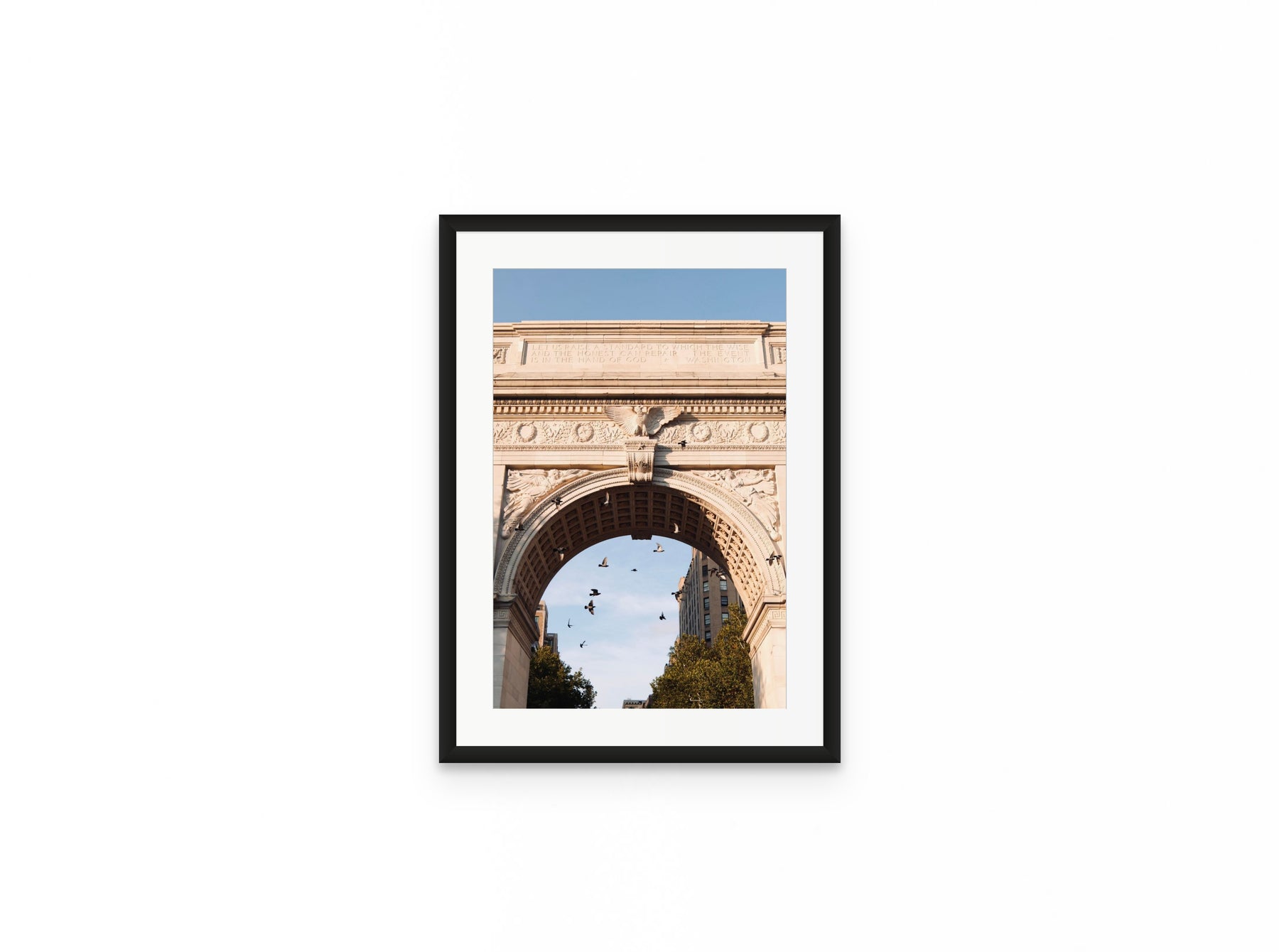 Washington Arch Pigeons, 12×18 in black frame