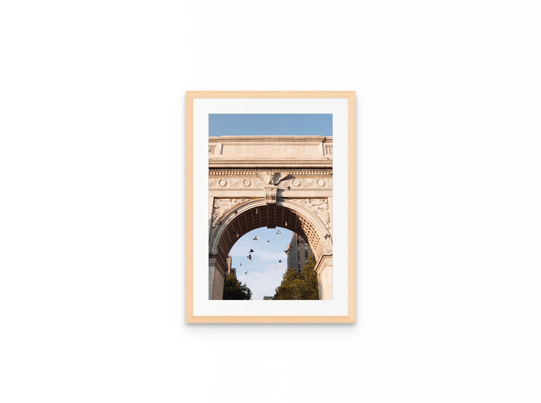 Washington Arch Pigeons, 12×18 in natural frame