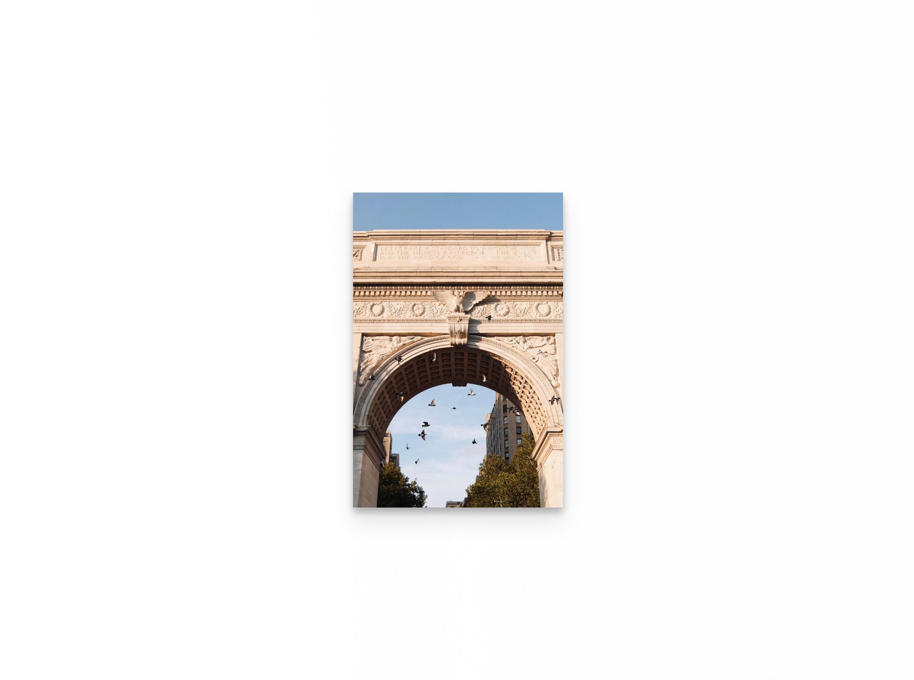 Washington Arch Pigeons, 12×18 fine art print