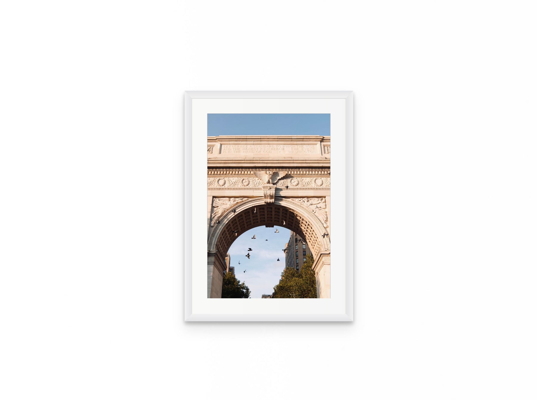 Washington Arch Pigeons, 12×18 in white frame