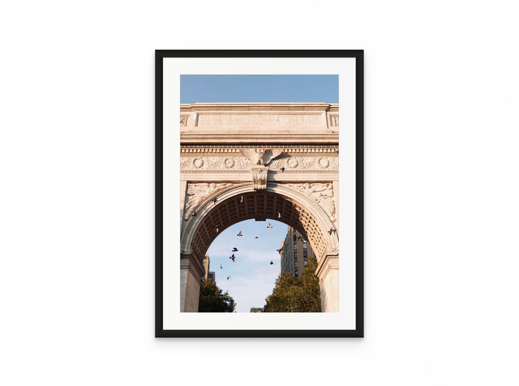 Washington Arch Pigeons, 16×24 in black frame