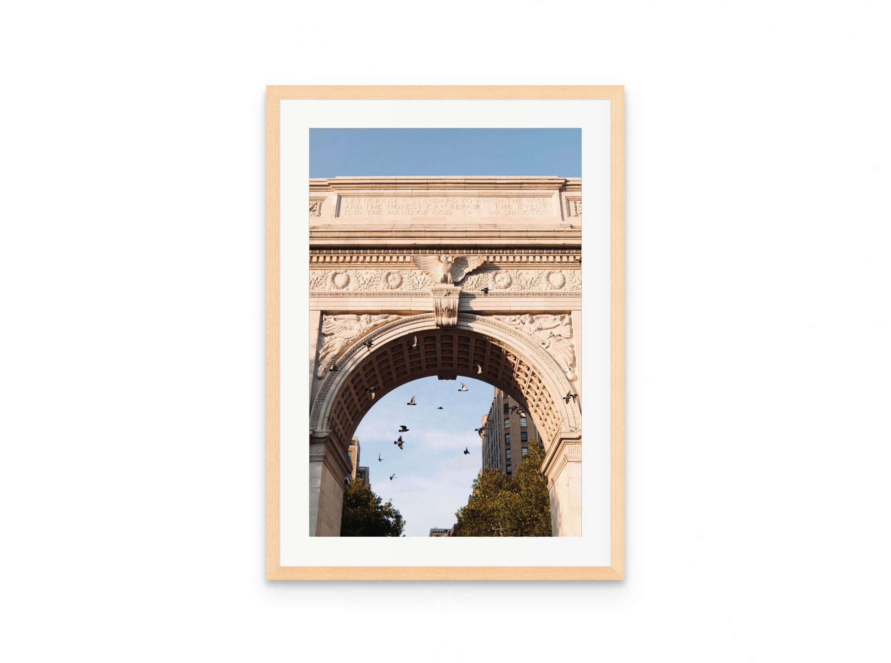 Washington Arch Pigeons, 16×24 in natural frame