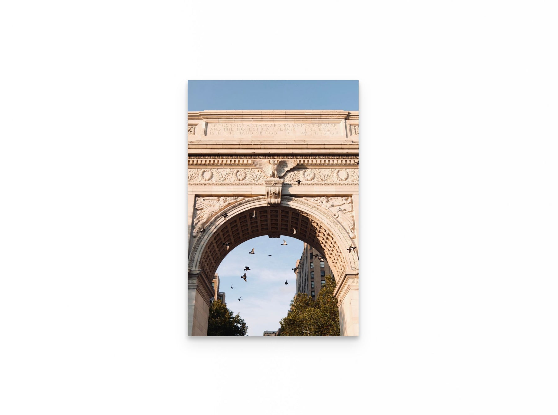 Washington Arch Pigeons, 16×24 fine art print