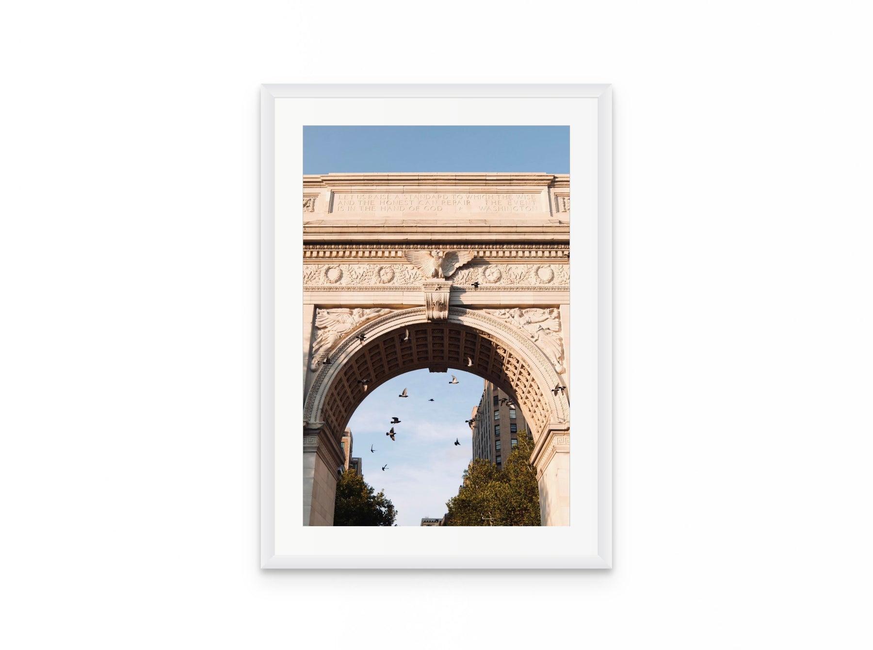 Washington Arch Pigeons, 16×24 in white frame