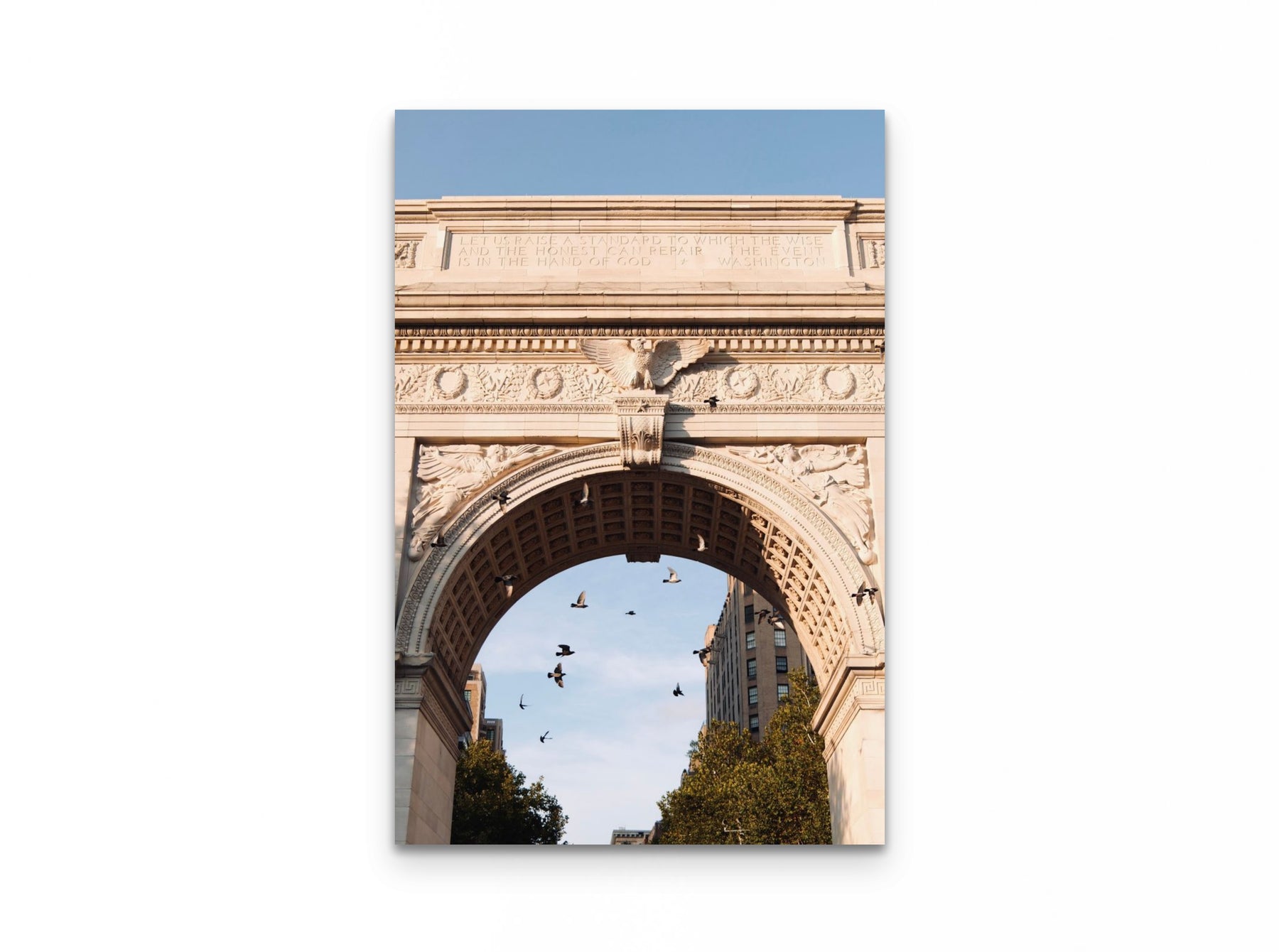 Washington Arch Pigeons, 20×30 fine art print