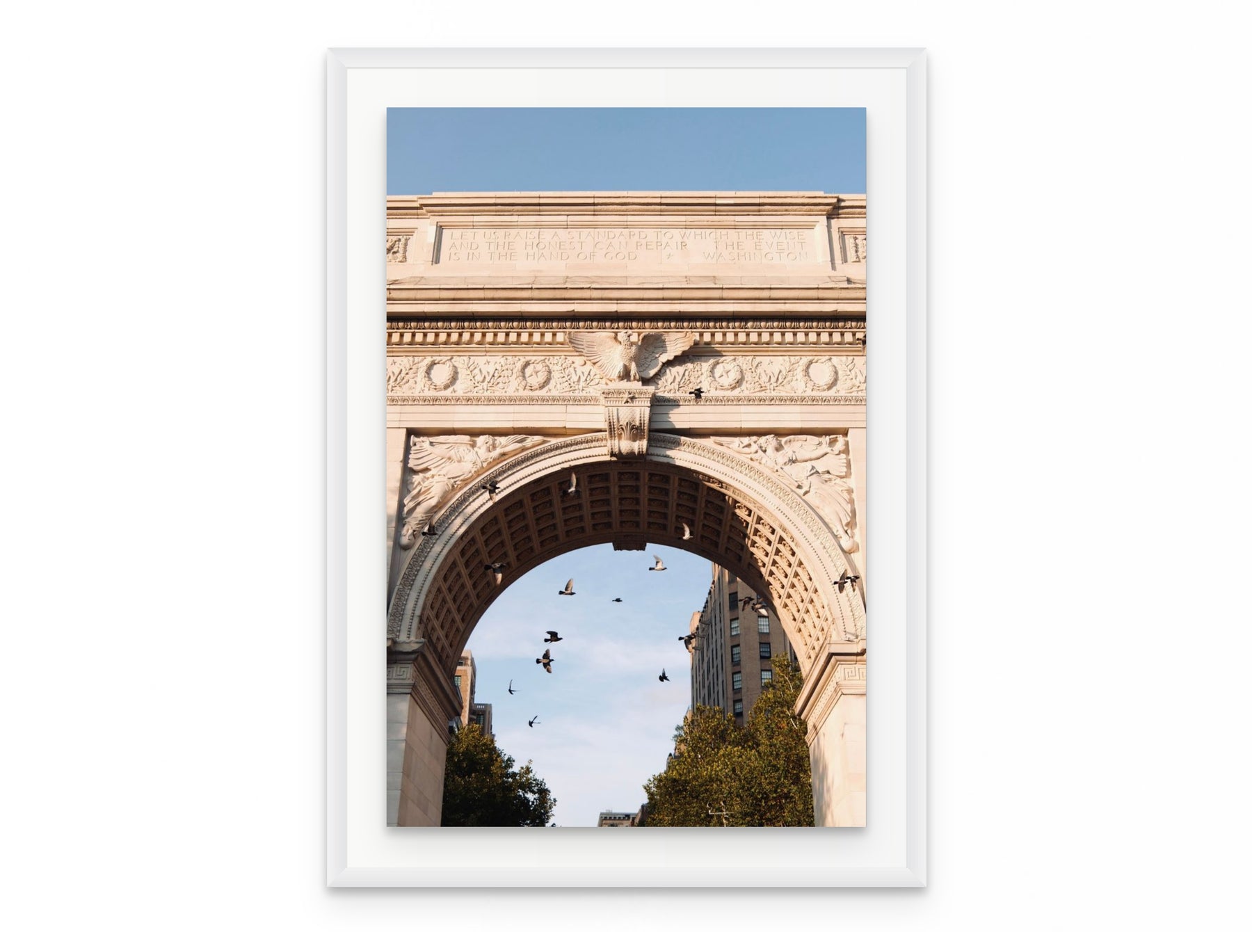 Washington Arch Pigeons, 20×30 in white frame