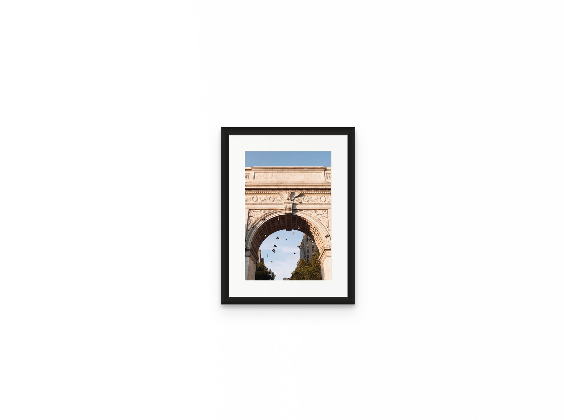 Washington Arch Pigeons, 8×12 in black frame