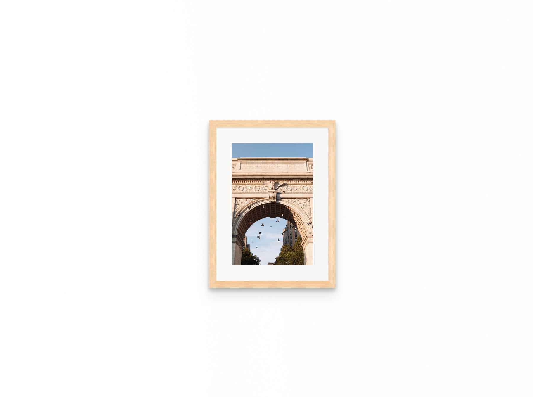 Washington Arch Pigeons, 8×12 in natural frame