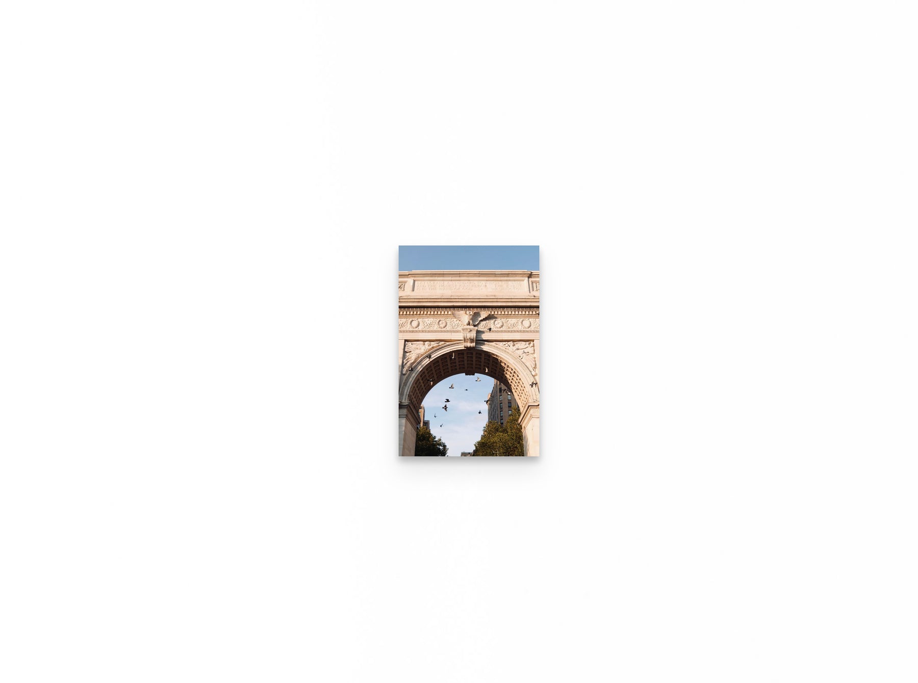 Washington Arch Pigeons, 8×12 fine art print
